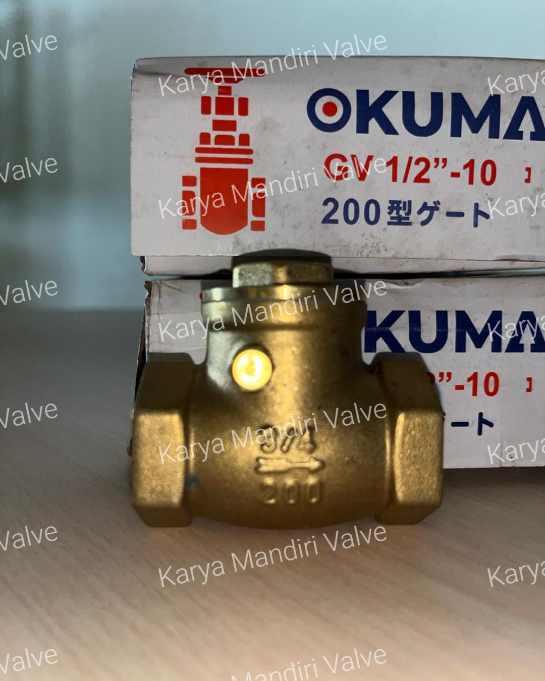 Brass Swing Check Valve
